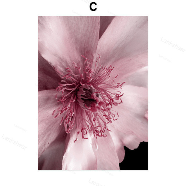 Peony Flower Wall Art Canvas Painting - Image 2