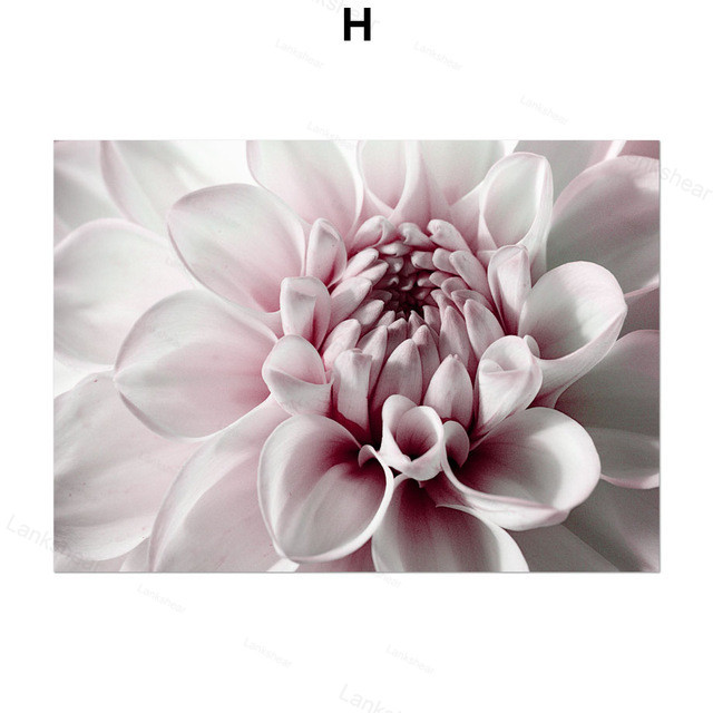 Peony Flower Wall Art Canvas Painting - Image 6