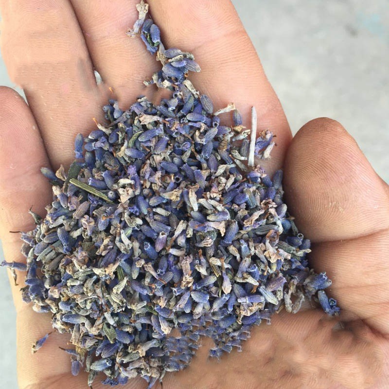 A Variety Of Xinjiang Lavender, Fragrant Lavender, Sachet Toy Filled With Dried Flower Particles - Image 6