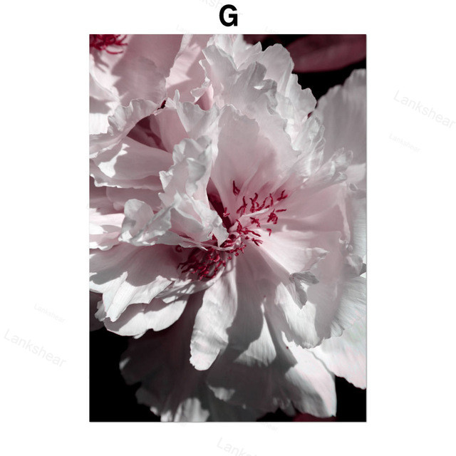 Peony Flower Wall Art Canvas Painting - Image 8