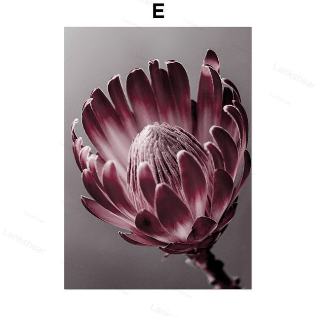 Peony Flower Wall Art Canvas Painting - Image 7